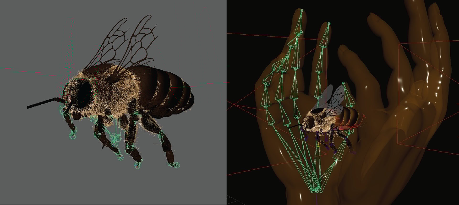 Arthropod, Jaw, Sleeve, Organism