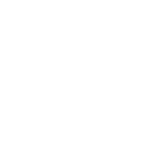 White outlined letter V on a dark green background, with a registered trademark symbol.