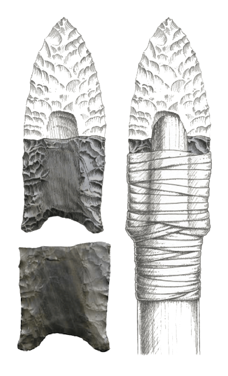 Automotive tire, Sleeve