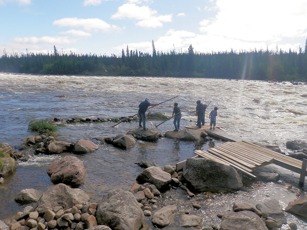 Water resources, Cloud, Sky, Wood, Tree, Lake, Watercourse, Bank