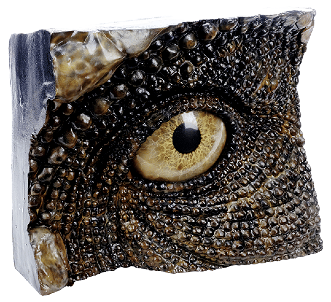 Head, Eye, Owl, Headgear, Beak, Rectangle