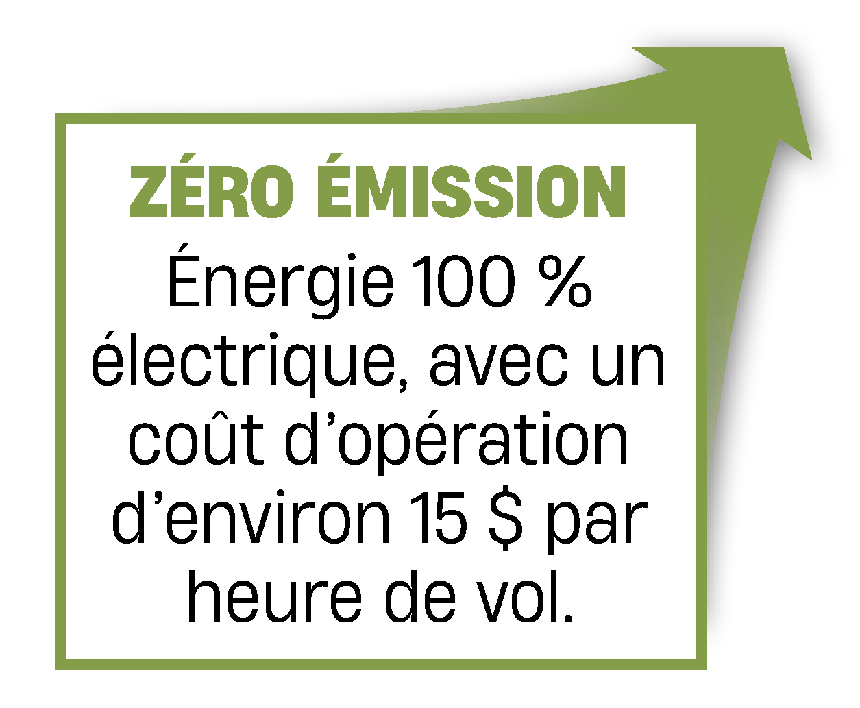 Organism, Rectangle, Font