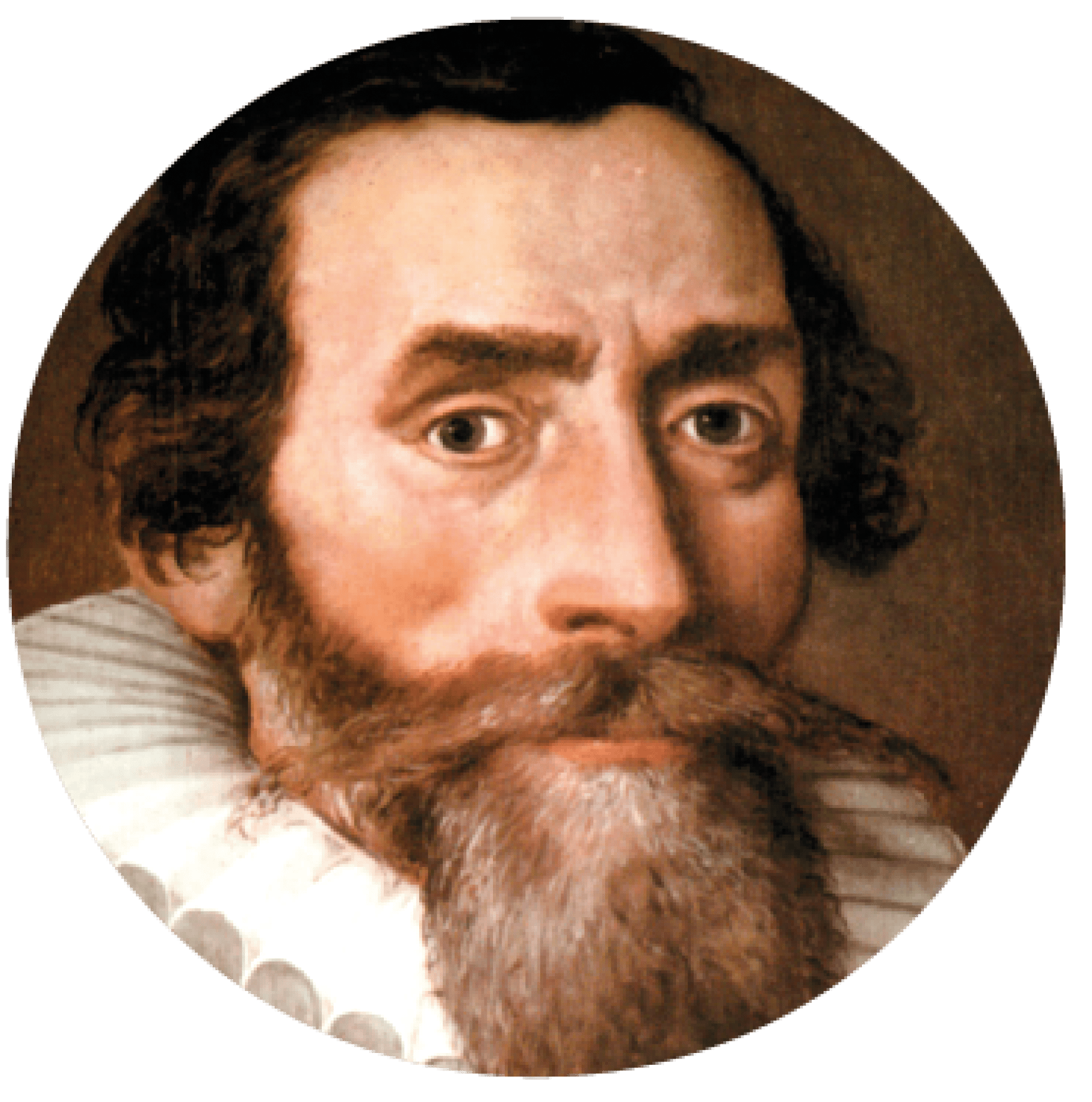 Forehead, Nose, Chin, Beard, Jaw