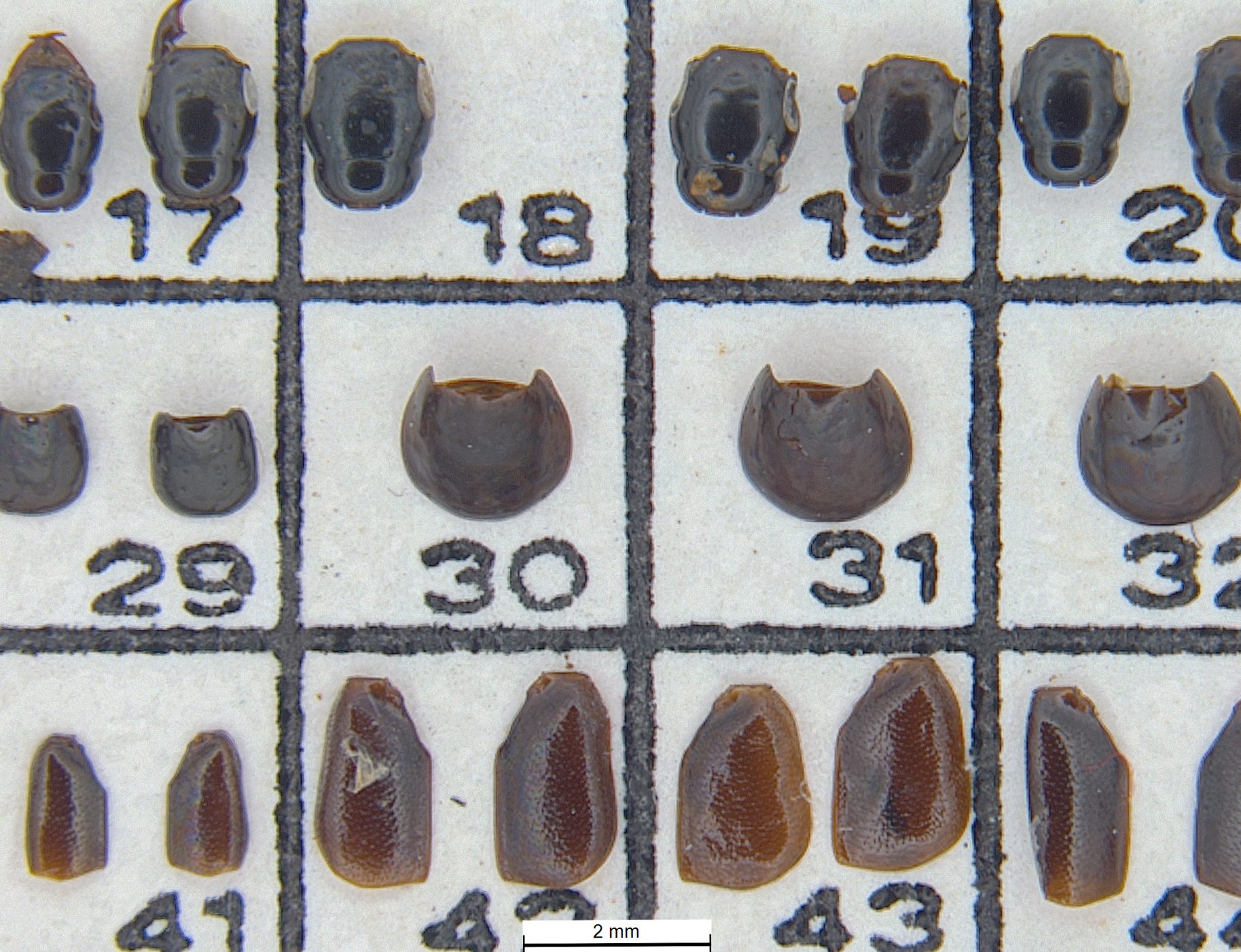 Jaw, Organism, Font, Headgear, Eyewear