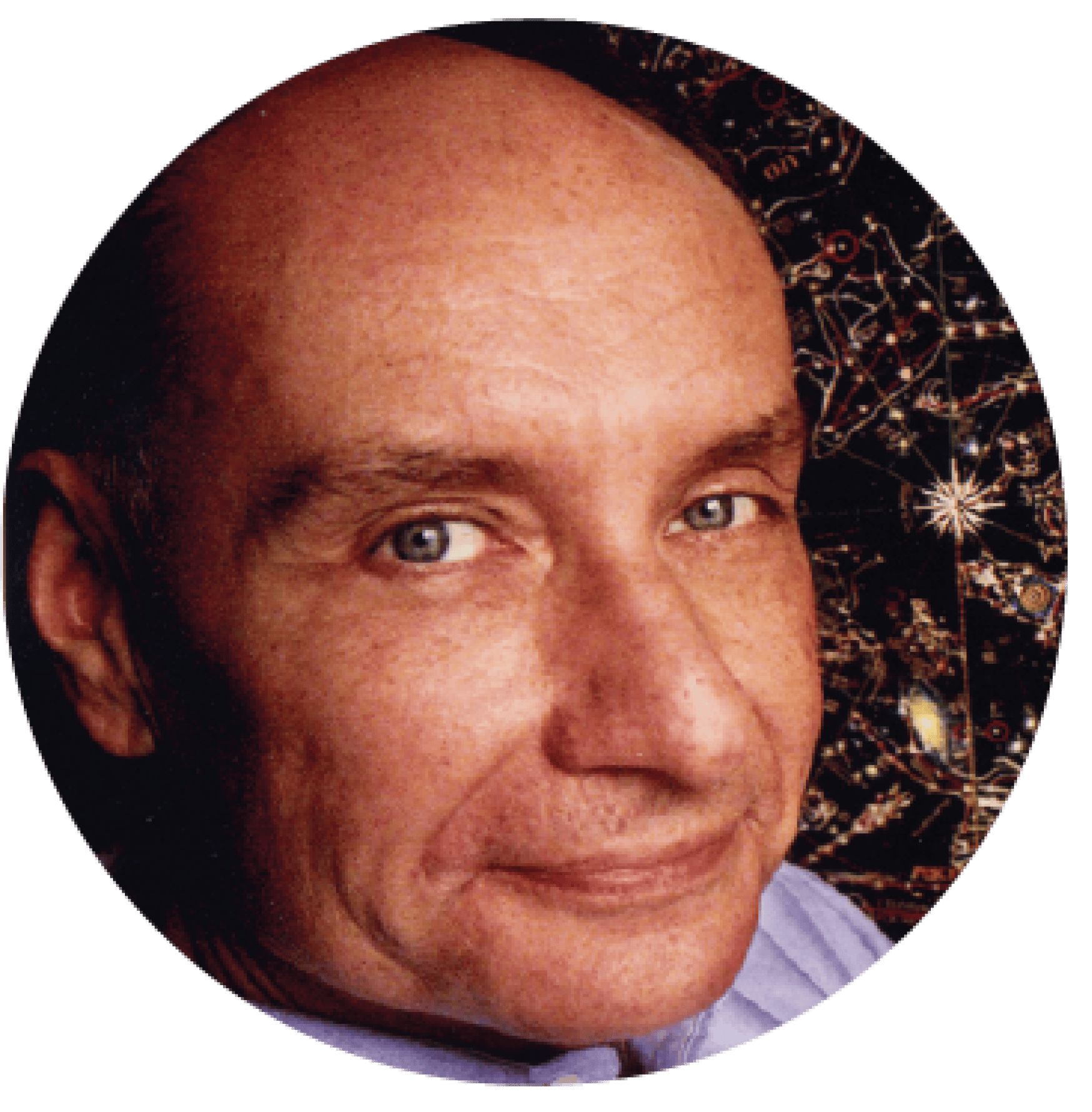 Forehead, Nose, Cheek, Chin, Jaw, Iris