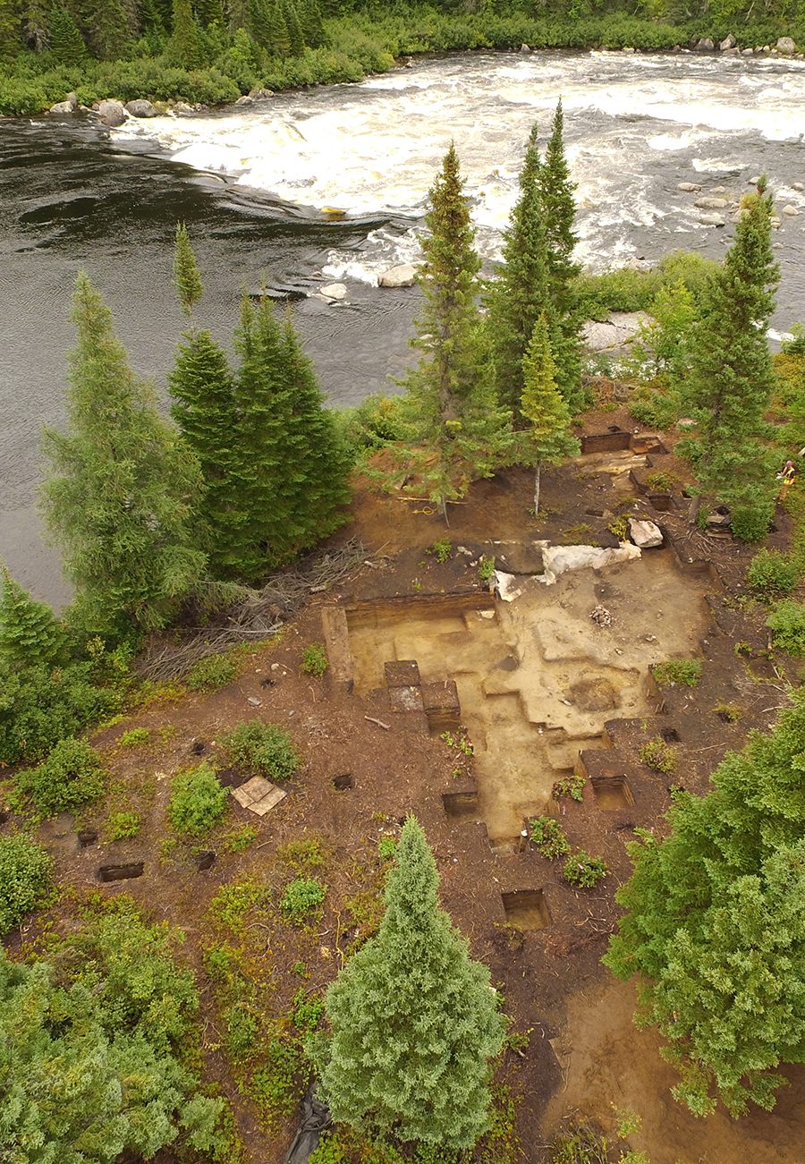 Fluvial landforms of streams, Body of water, Plant community, Natural landscape, Larch, Watercourse
