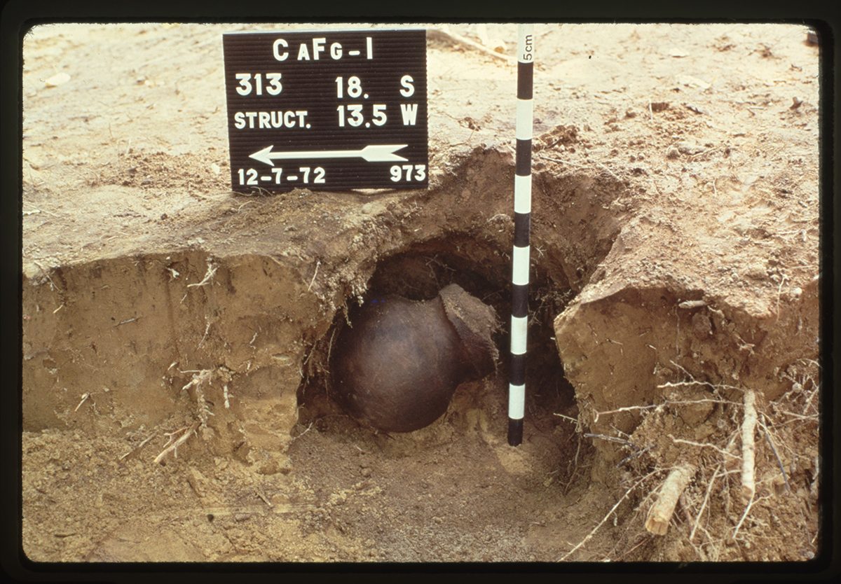 Geology, Soil