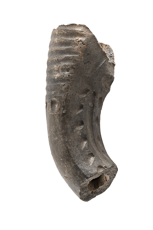 Automotive tire, Synthetic rubber, Insect, Tread