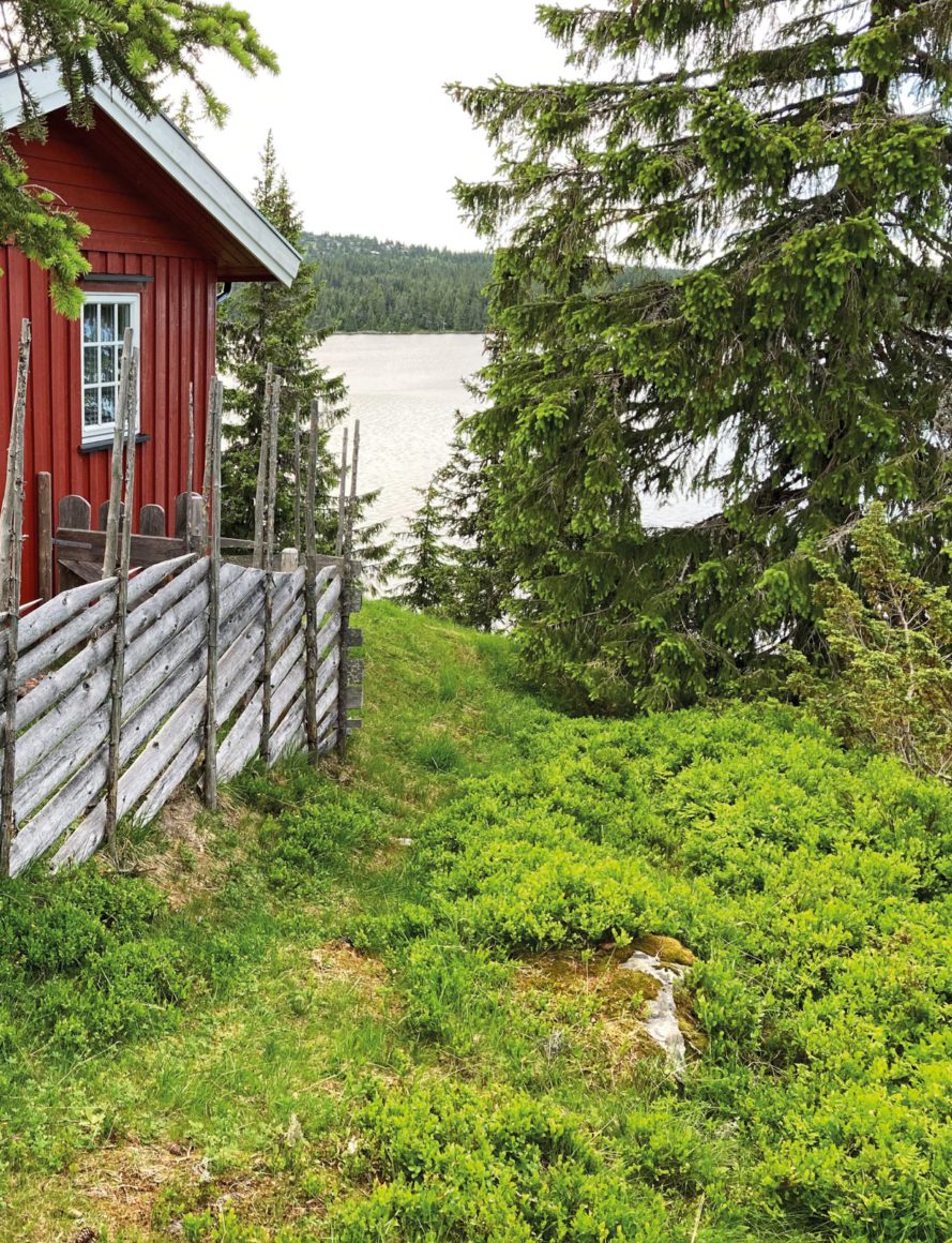 Natural landscape, Land lot, Plant, Property, Building, Window, Wood, Highland, Tree