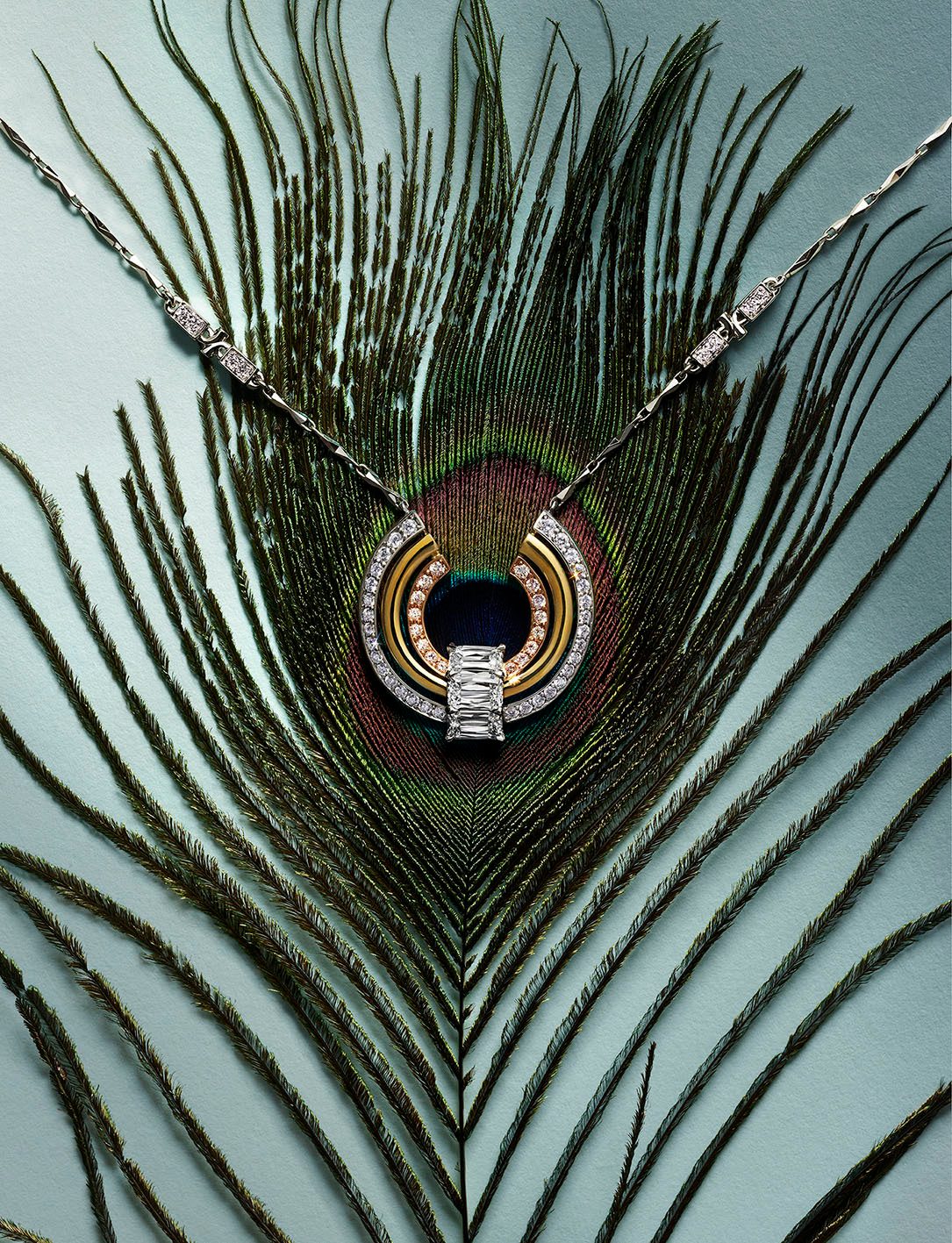 Terrestrial plant, Water, Liquid, Hood