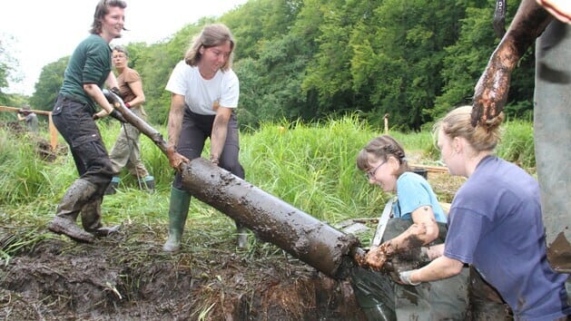 People in nature, Plant, Wood, Tree, Shorts