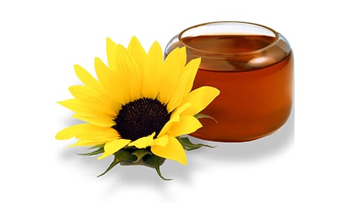 Flower, Plant, Liquid, Tableware, Drinkware, Tea, Petal, Vinegar, Cup, Serveware