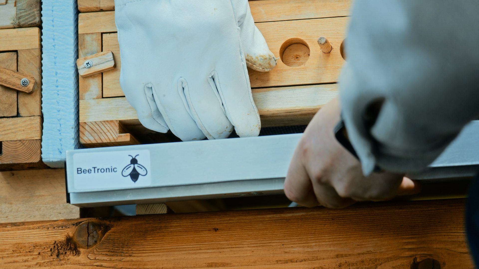 Person in a white glove installing a BeeTronic device on a wooden beehive, another hand assisting.