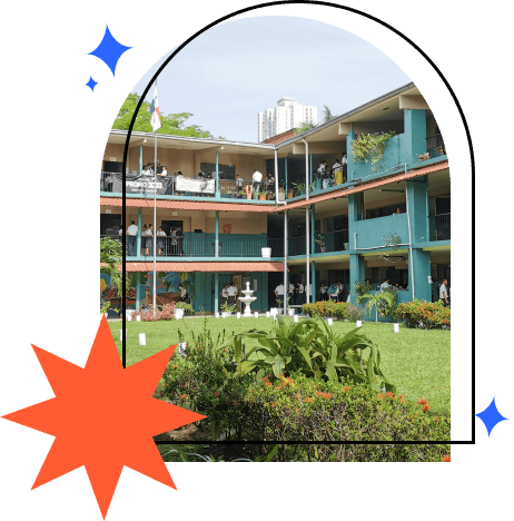 Urban design, Plant, Property, Building, Fixture