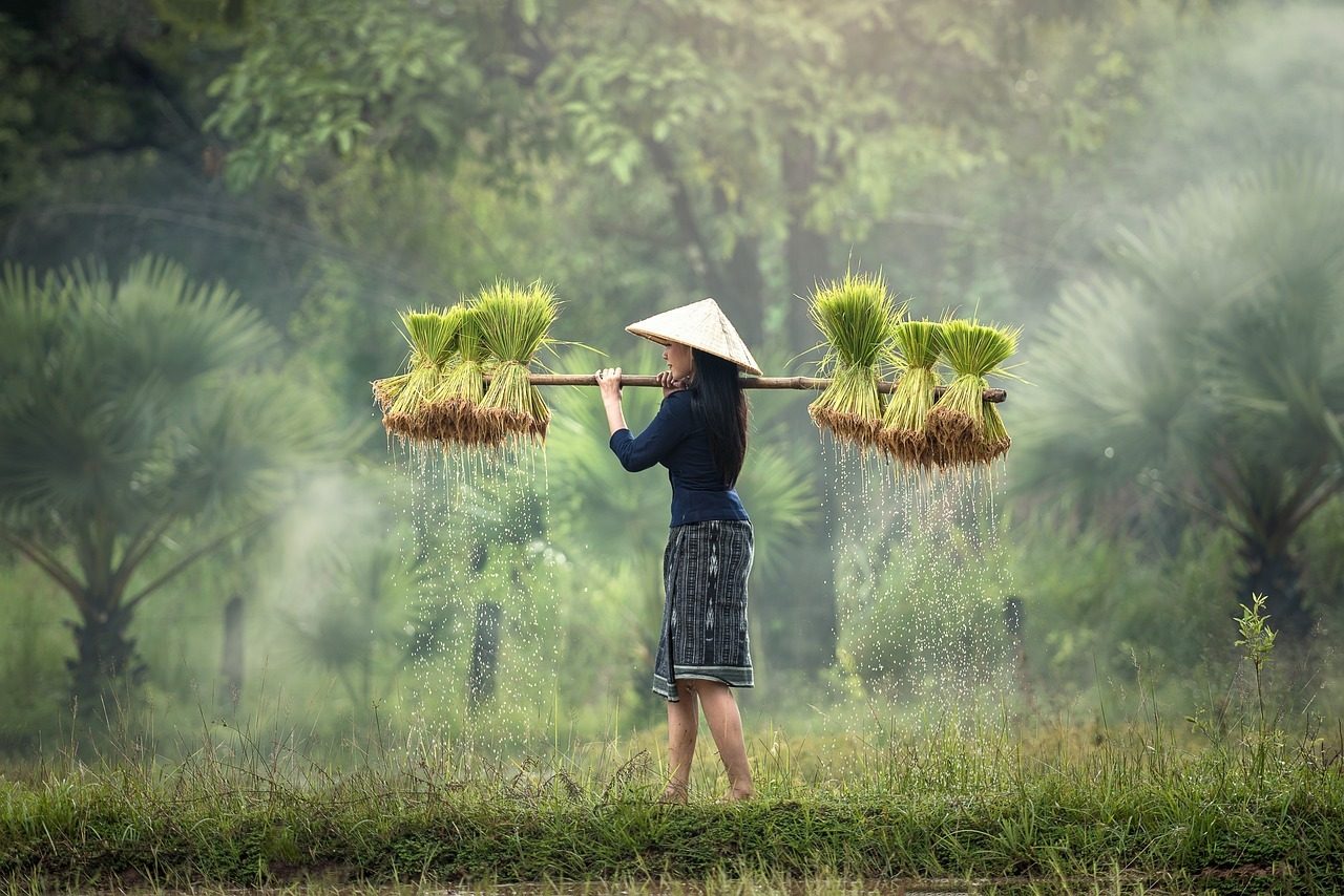 People in nature, Natural landscape, Terrestrial plant, Ecoregion, Happy, Tree, Agriculture, Grass, Grassland