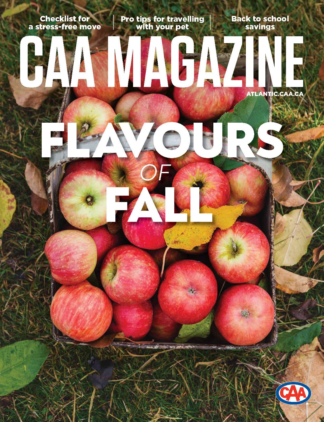 Natural foods, Whole food, Plant, Fruit, Mcintosh, Apple, Ingredient