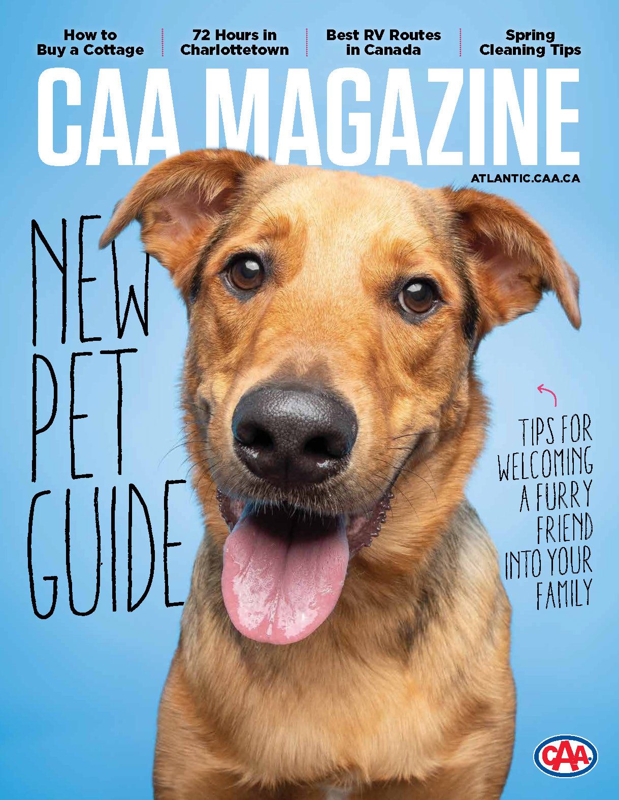 Dog breed, Carnivore