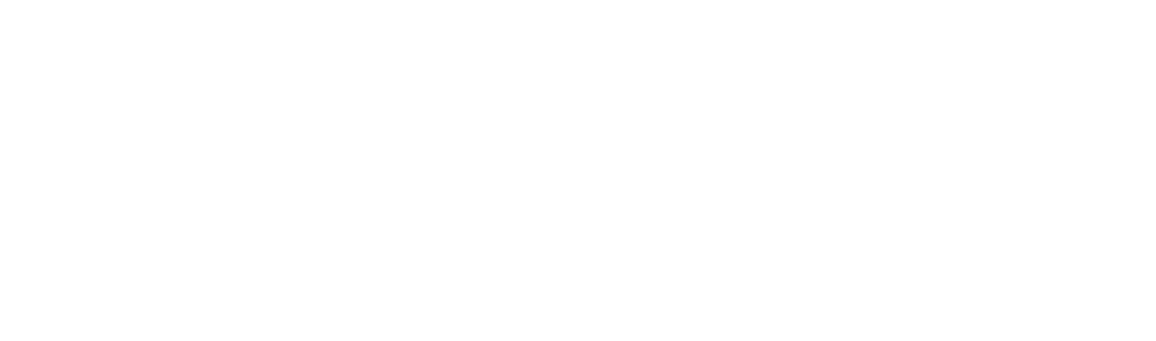 Curity Logo White