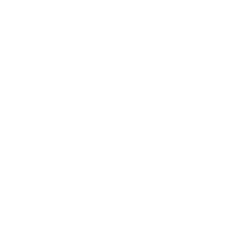 Checklist icon