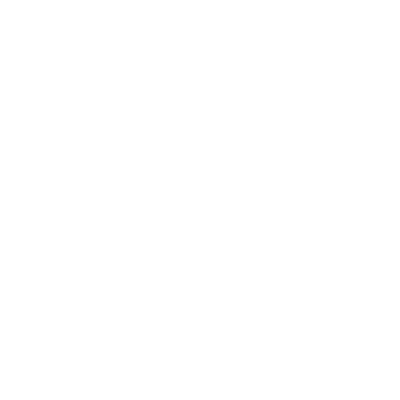 Flashlight icon