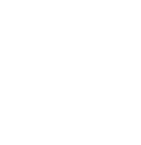 Stethoscope icon
