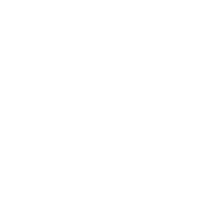 Piggy bank icon