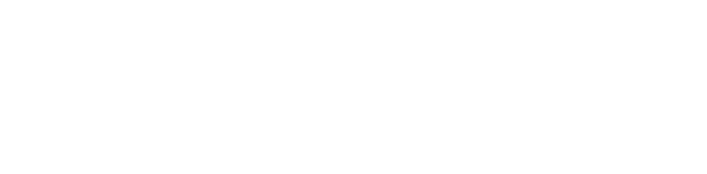 NEWS logo