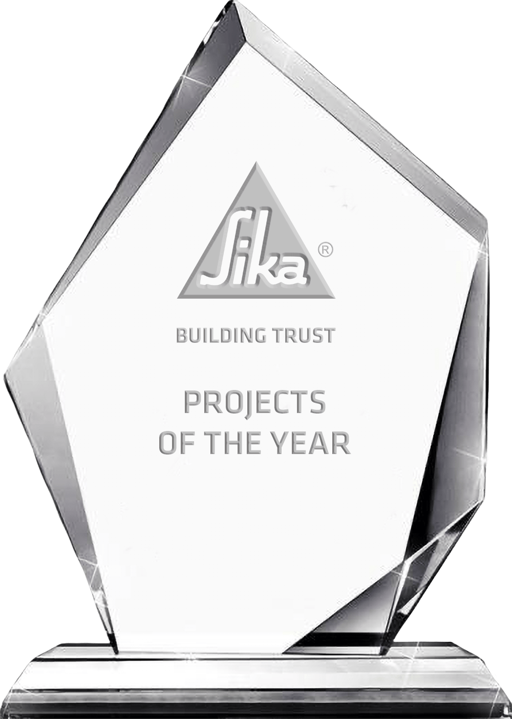 Projects of the Year Award