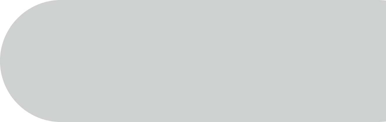 rounded gray rectangle