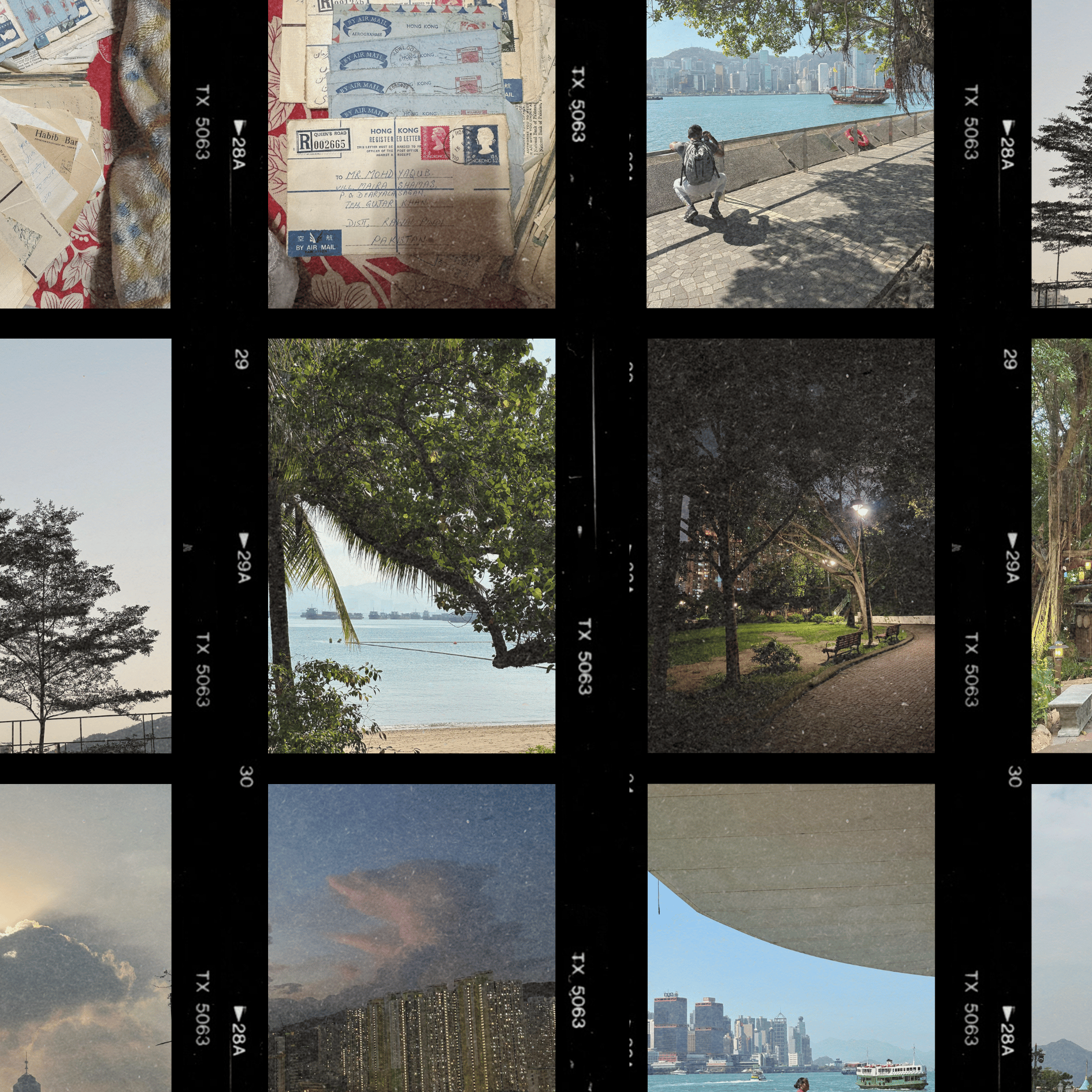 Natural landscape, Property, Light, Nature, Leaf, Plant, Branch, Tree, Architecture, Organism