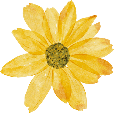 Flower, Plant, Petal