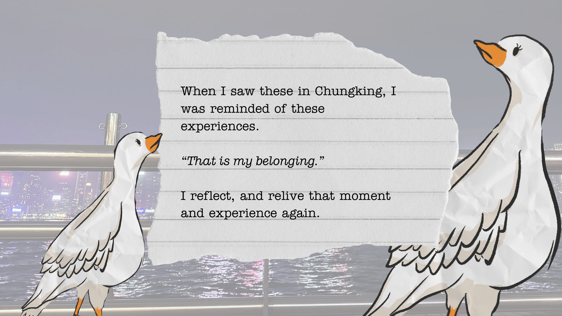 Bird, White, Vertebrate, Water, Organism, Beak, Font