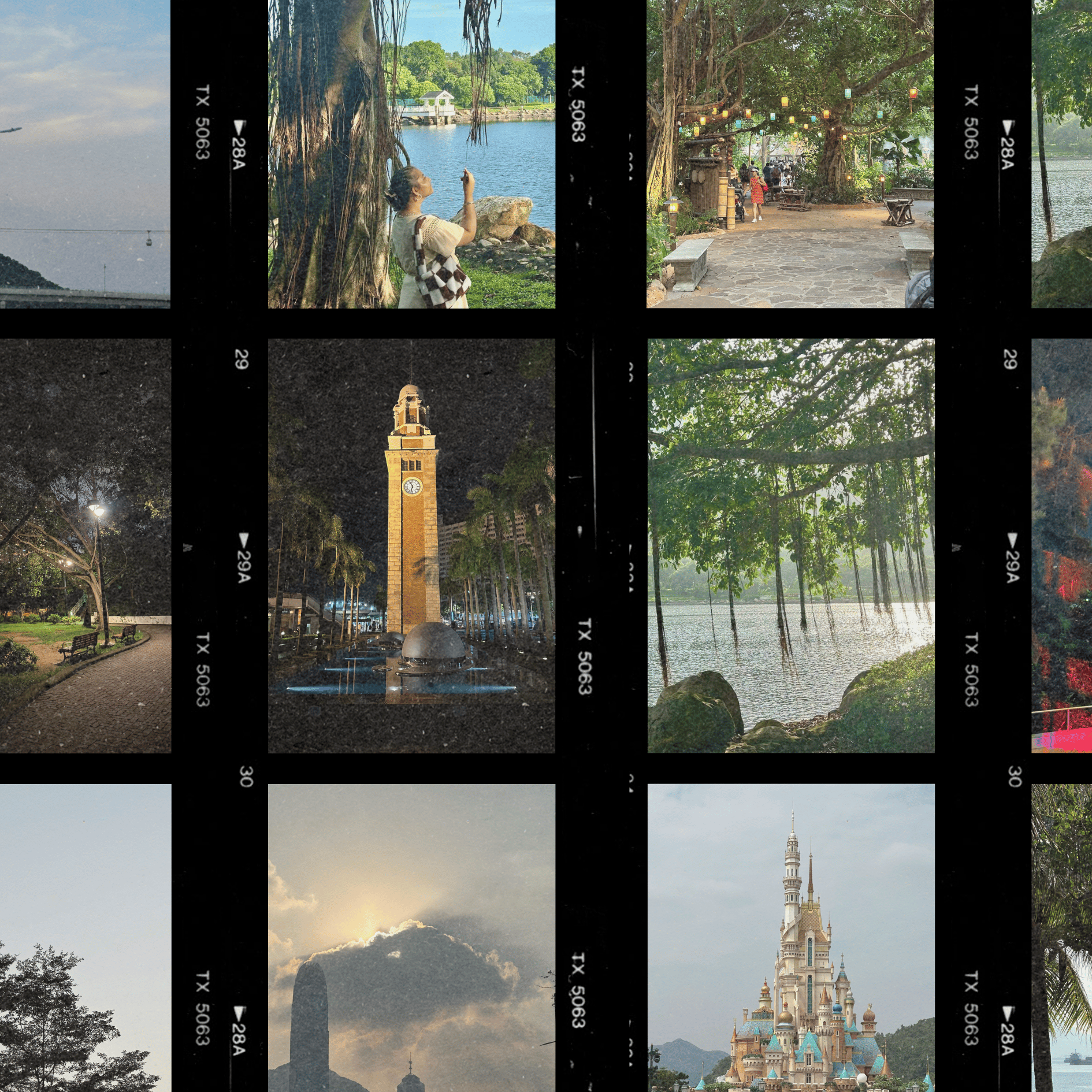 Photograph, World, Green, Light, Nature, Architecture, Plant, Biome, Line