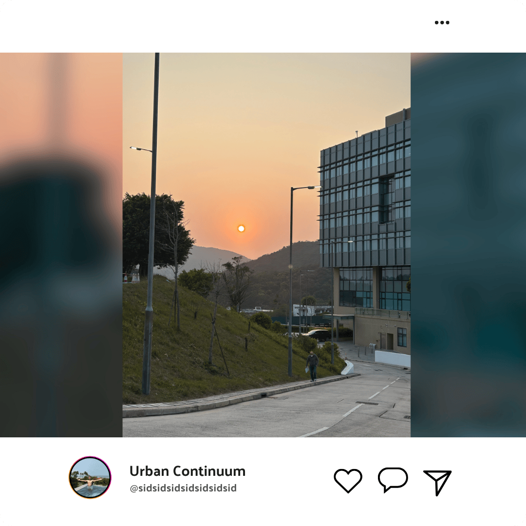 Street light, Sky, Building, Asphalt, Plant