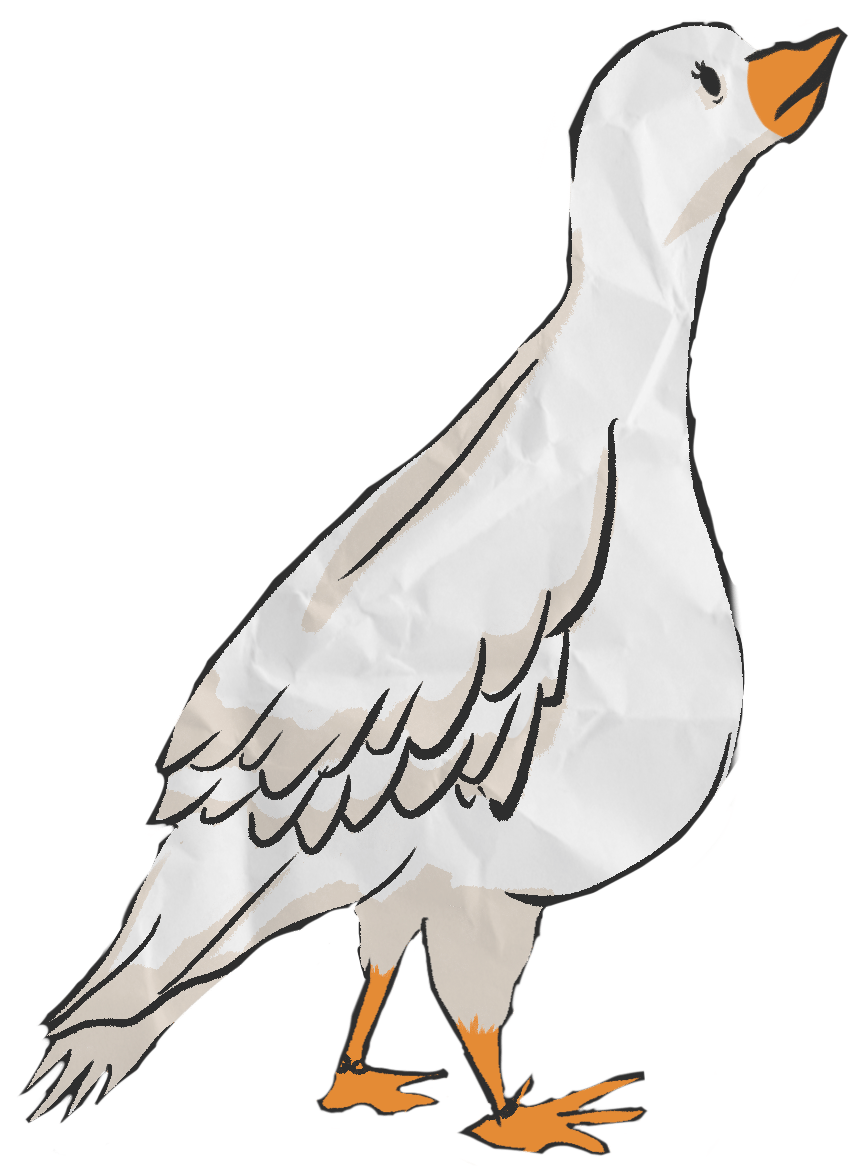 Bird, Beak, Neck, Feather, Gesture