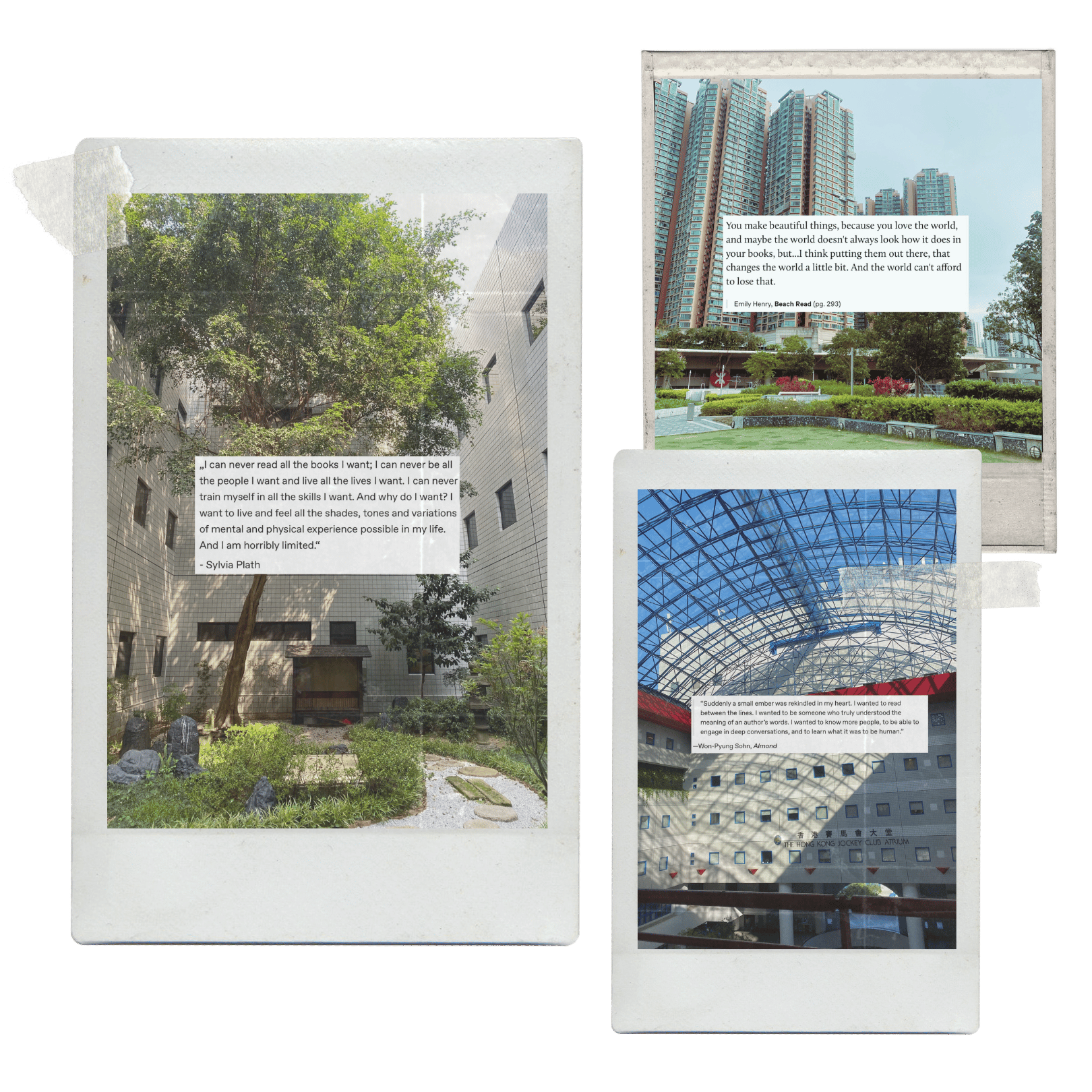 Land lot, Urban design, Terrestrial plant, Building, Font, Slope