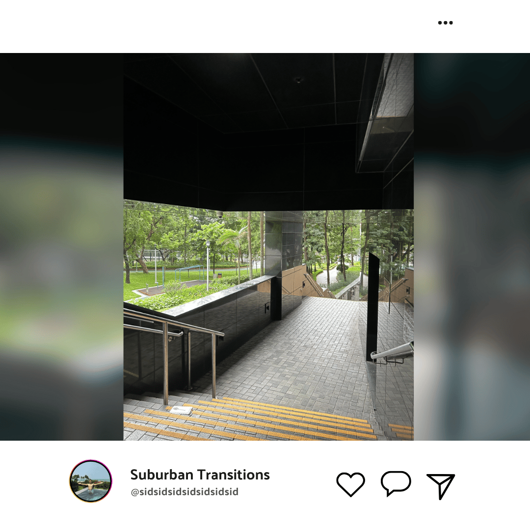 Terrestrial plant, Rectangle