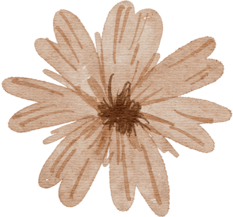 Flower, Plant, Petal, Gesture