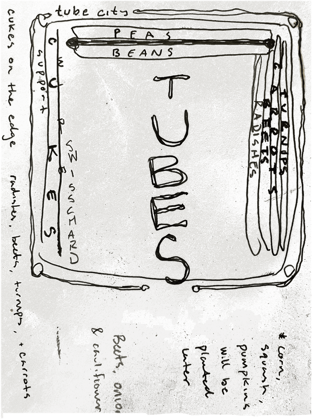 Photograph, Handwriting, Font, Rectangle