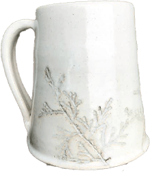 Coffee cup, Tableware, Drinkware, Dishware, Serveware, Plant, Porcelain