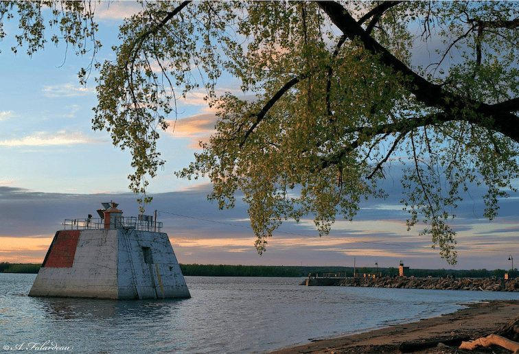Body of water, Natural landscape, Sky, Cloud, Sunlight, Wood, Lake, Tree, Bank