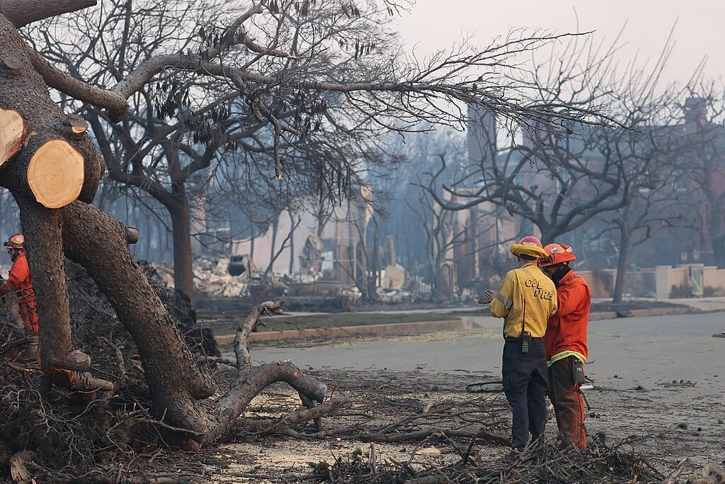 Firefighters among burnt trees and ruined buildings post-wildfire.
