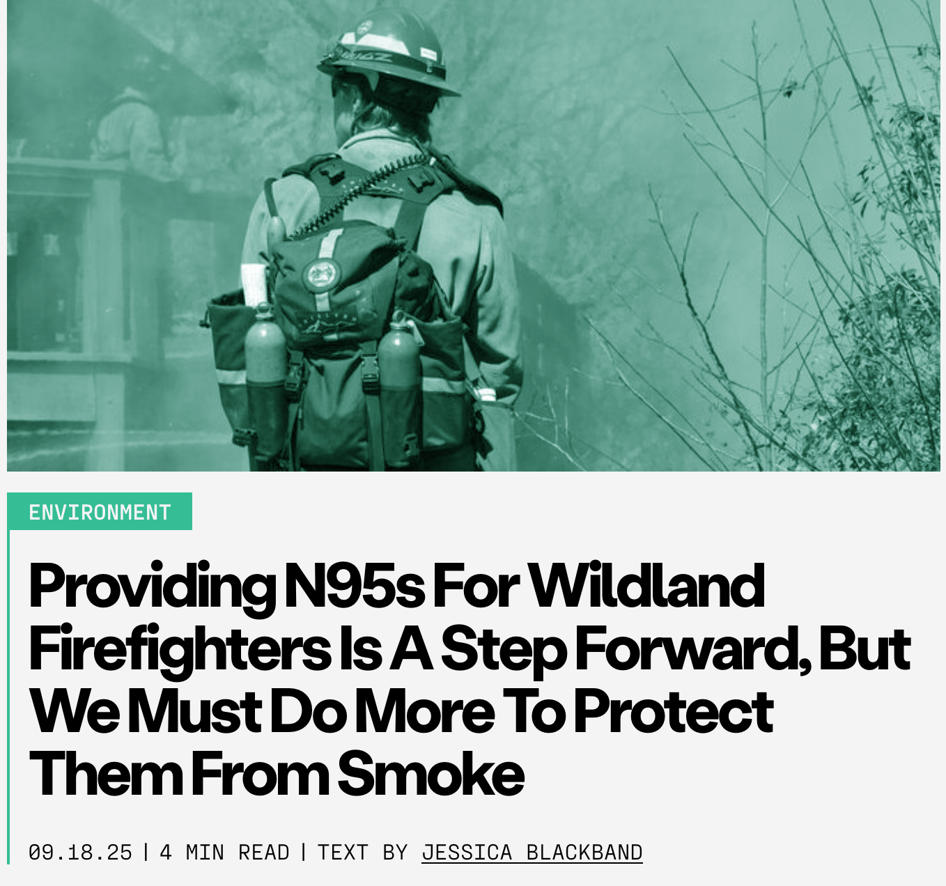 Wildland firefighter from behind in a smoky, green-tinted scene.