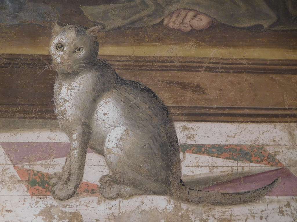 Ancient fresco of a grey cat, sitting and gazing forward, with significant erosion.