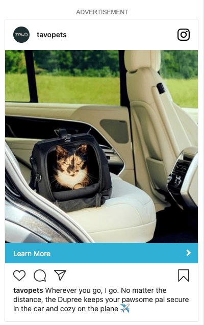 Car seat, Cat, Felidae, Carnivores, Felinae, Fur, Whiskers, Snout