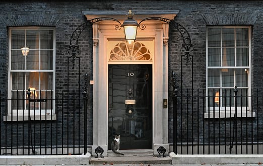 10 Downing Street's iconic black door with the number '10' and a domestic cat sitting on the doorstep.