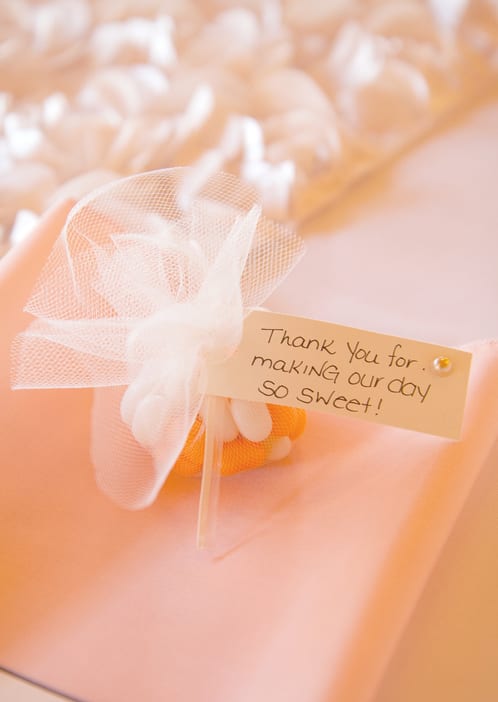 Party supply, Material property, Orange, Petal