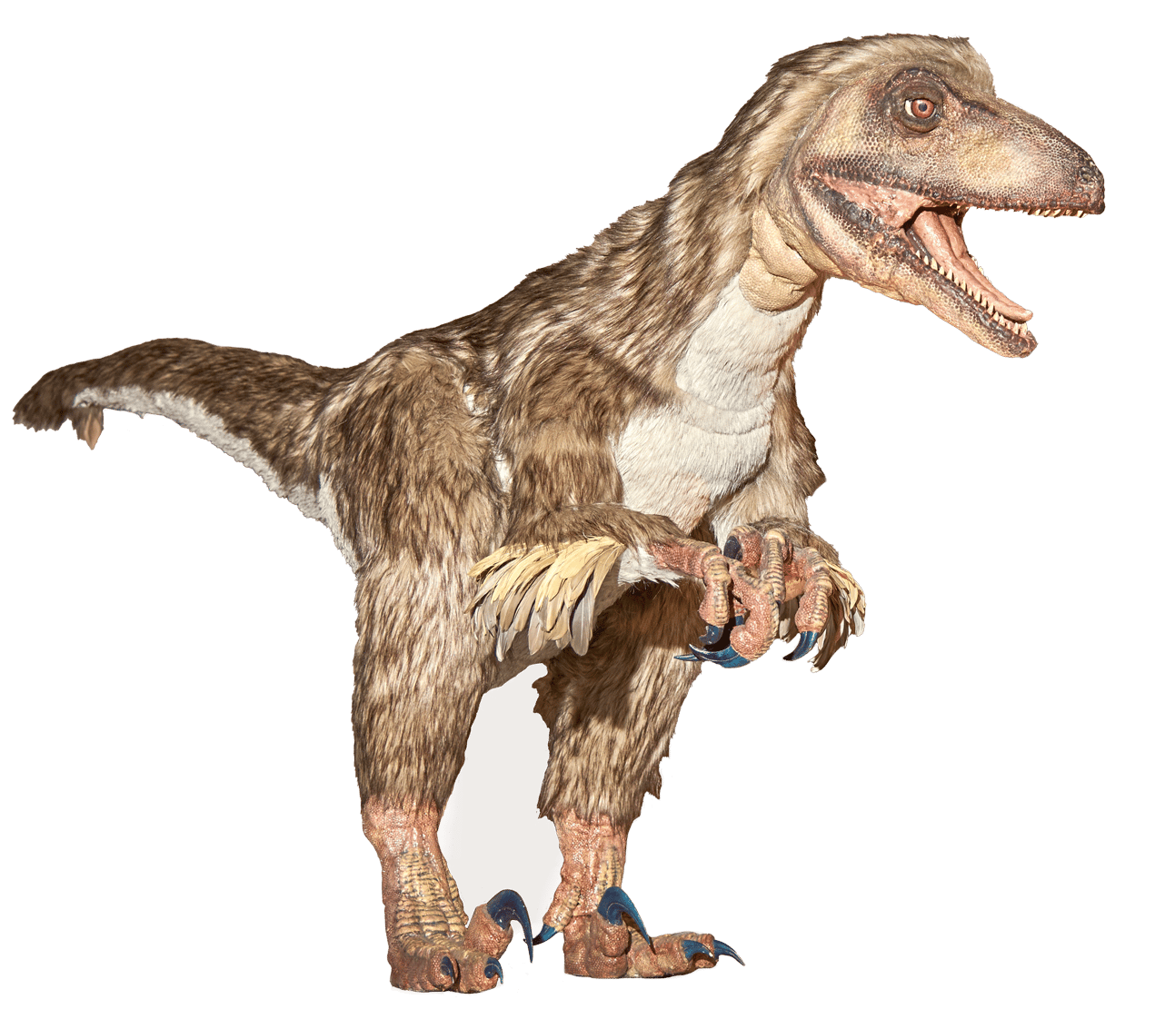 Terrestrial animal, Extinction, Dinosaur