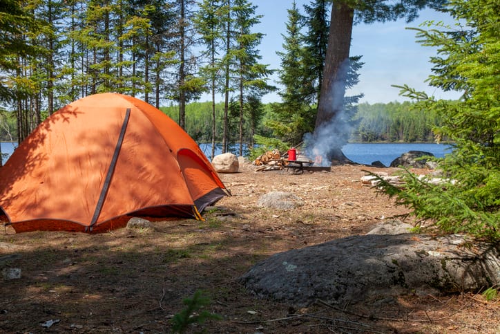 Plant community, Natural environment, Tent, Ecoregion, Tarpaulin, Camping, Tree, Shade