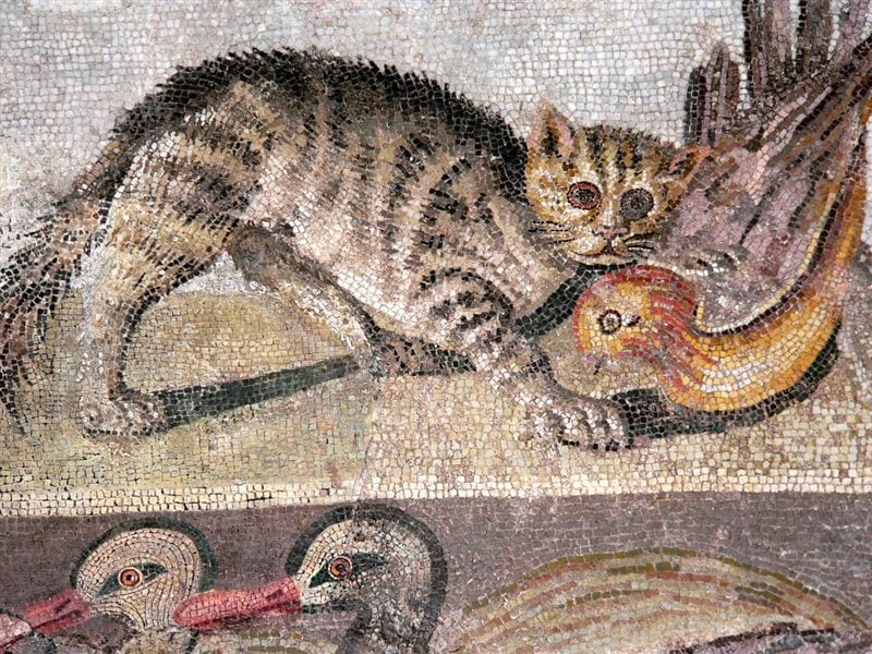 Ancient Roman mosaic of a tabby cat pouncing on a bird, with two ducks looking on below.